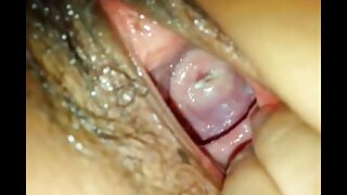 ჯინსის სექსუალური წი ...